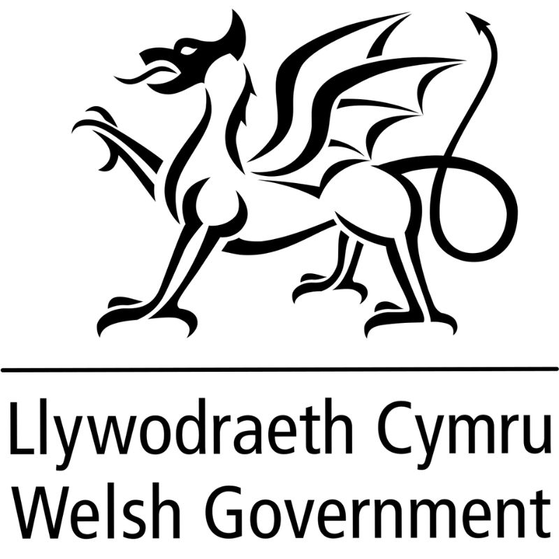 Llais y Gymraeg Logo